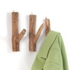 DESIGN DELIGHTS Set of 3 Wardrobe Hooks, Limb, Teak Root,