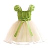 Lito Angels Princess Tiana Costume Dress Fancy Dress with Accessories