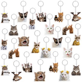 Neptniopllab 24Pcs Cat Keychain Cute Cat Keychains Funny Cat Charm Keyrings Set Kawaii Cool Cats Talking Charm Keychain for Backpack Bag Car, Mix, 24PC-Cute