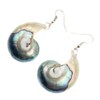 Swimmi Natural Open Nautilus Shell Earrings, Dangle Drop 925 Sterling