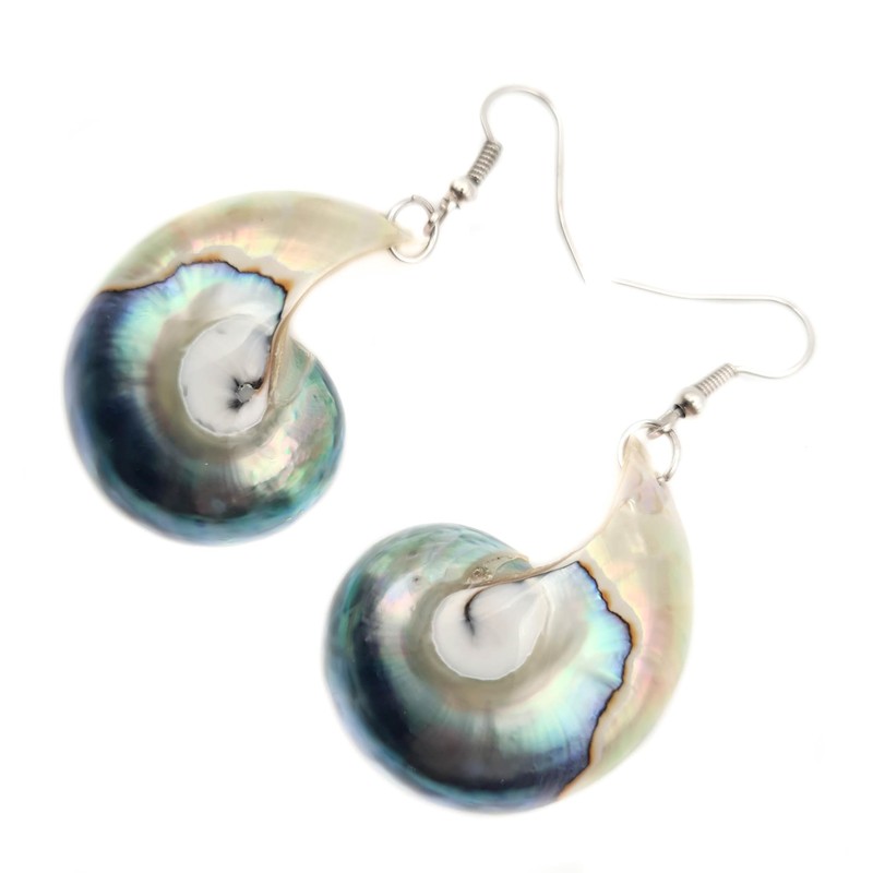 Swimmi Natural Open Nautilus Shell Earrings, Dangle Drop 925 Sterling