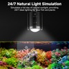 fishkeeper Clip On Aquarium Stream Light with 24/7 Mode(36W)