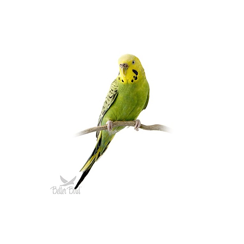 Better Bird, Premium Parakeet Food, 5 lb Jar