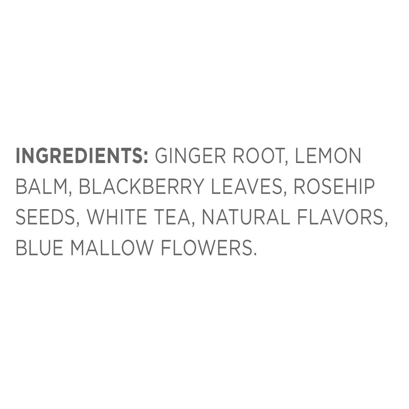 Tea Forte Tea Over Ice White Ginger Pear Premium Organic