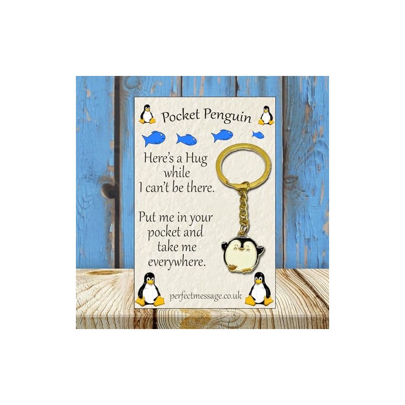 Perfect Message Pocket Penguin Hug Keyring Inspirational Gift for Boys