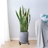 Fasmov Cast Iron Plant Stand Plant Pallet Caddy Plant Pot
