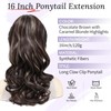 Wirctp Ponytail Extension,16" Claw Clip in Ponytail Extensions Long Curly