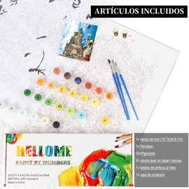 RUISTLI Paint by Numbers 40 * 50cm,con Pinturas Acrílicas y Lienzo para Pintar,Pintura por Numeros para Adultos y Niños (A-ciudad costera)