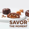 Russell Stover, Assorted Milk and Dark Chocolates, Chocolate Gift Box,