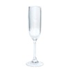 Entertaining with Caspari Acrylic Champagne Flute, Clear, 1-Count by Caspari