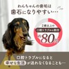 犬 口臭 ふりかけ サプリ サプリメント 国産 無添加 デンタルケア 口腔ケアサプリ 口臭ケア
