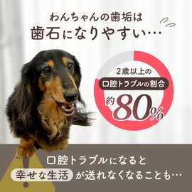 犬 口臭 ふりかけ サプリ サプリメント 国産 無添加 デンタルケア 口腔ケアサプリ 口臭ケア 1.5g×30包 チーズ味 乳酸菌 米ぬか いぬびいき