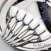 Nagao Tsubamesanjo Ice Cream Spoon, 5 + 1 set, 5.2