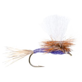 The Fly Fishing Place Parachute Purple Haze Classic Trout Dry Fly Fishing Flies - Set of 6 Flies Size 14