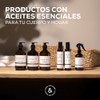 Body Wash Santal | 500 ml | Limpieza e Hidratación