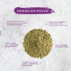 Tgb Henna En Polvo Egipcia 1 Kilo 100% Natural