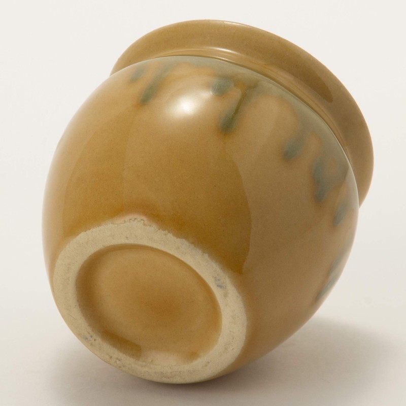 TAMAKI T-534892 Mini Turtle Storage Container, Kiseto Diameter 2.7 x
