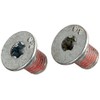 HELLA PAGID 8DZ 355 209-021 Bolt, brake disc, Rear Axle