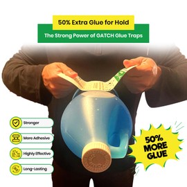 Gatch Glue Board (Pack 36) – Sticky Traps for Indoor & Outdoor - Pet & Child Safe Pest Control with Ultra Sticky Pre Baited Mouse & Insect Traps for Rodents, Bugs, Cockroaches
