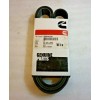 Cummins V-Belt Ribbed, pn 3289536