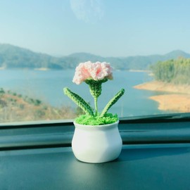 Joekaran Crochet Flowers Cute Little Potted Flower, Gift for Birthday, Teacher’s Day, Graduation, Anniversary, Valentines, Decor for Car Dashboard,Home Office Decoration (Pink Carnation)