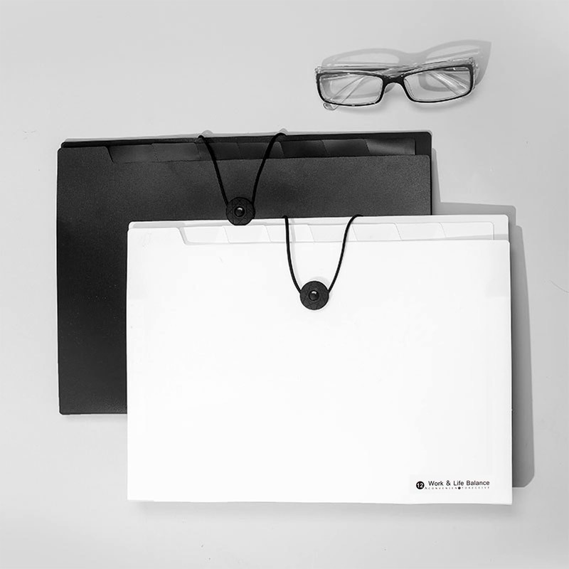 Pack of 1 A4 Document Folder with 12 Compartments, Expanding