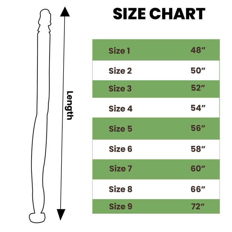 Walking Stick + Morel Mushroom Hunting Stick + Hand Carved