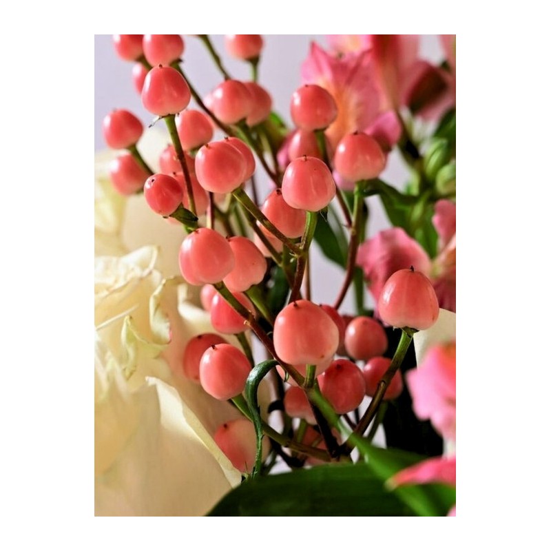 Pomegranate Biome Scalp Boosting Shampoo 480ml (Neutral, Combination Scalp) /