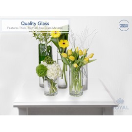Royal Imports Flower Glass Vase Decorative Centerpiece for Home or Wedding - Cylinder Shape, 8" Tall, 6" Opening, Clear