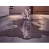 Jigsaw Puzzle 1000 Piece for Adults，Cat Tiger Jigsaw Puzzle，Animal Jigsaw,