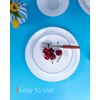 LaGlint 10.5 inch Dinner Plate Set of 6, Lightweight Round