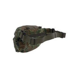 Tasmanian Tiger TT Modular Hip Bag Tactical Bum Bag Molle Compatible EDC Bag with 3 Compartments, Camouflage