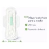 Toalla Femenina Nocturna Anión Super Absorbente Con Alas 8pz