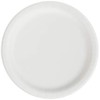 Creative Converting Touch of Color Paper Lunch Plates, 24-Count, Emerald