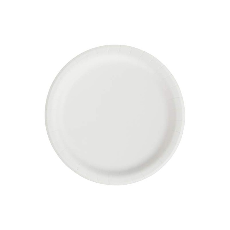 Creative Converting Touch of Color Paper Lunch Plates, 24-Count, Emerald