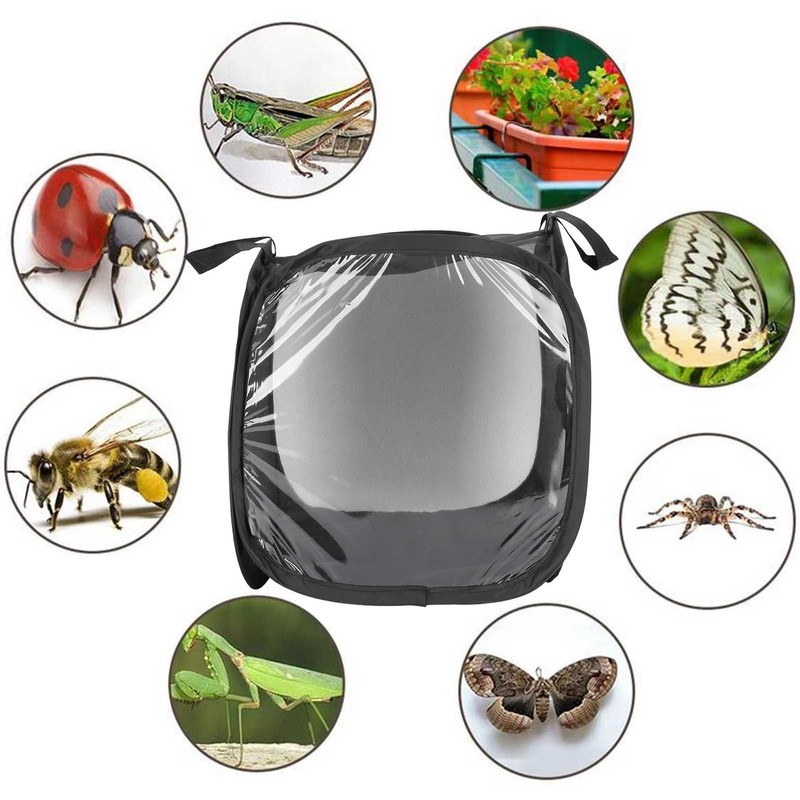 Insect Mesh Black Cage Foldable Mantis Butterfly Habitat Net Outdoor