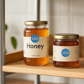 YIKIADA 500 PCS Blue 2024 Dot Stickers Roll 1 Inches Round Vinyl Color Coded New Year Labels Self Adhesive Waterproof Bookmarks for File Folders Charts Planner Organization Number Tabs