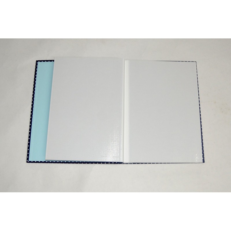 ナカバヤシ ファイル デジタルフリーアルバム Praffine A4 ブルー ア-A4P-164-B