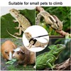 BOXOB 3pcs Bearded Dragon Harness & Leash Set, 3 Sizes