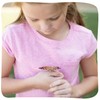 Insect Lore 2 Cups of Caterpillars Basic | 10 Live