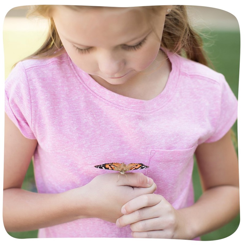 Insect Lore 2 Cups of Caterpillars Basic | 10 Live