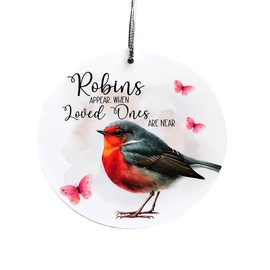 Robins Appear When Loved Ones Are Near - Sympathy/Bereavement Gift - Hanging Decoration Ornament Keepsake - With Organza Gift Pouch