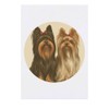 'Two Yorkshire Terriers Portrait' Temporary Tattoo - Water Resistant, Skin-Safe,
