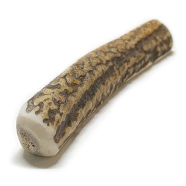 Kazuno-san Ezo Deer Antler for Small Dogs, 1 Piece, Made in Hokkaido, Natural, Additive-free, Ozone Treated, Dog Toy, Dental Care, 4.5