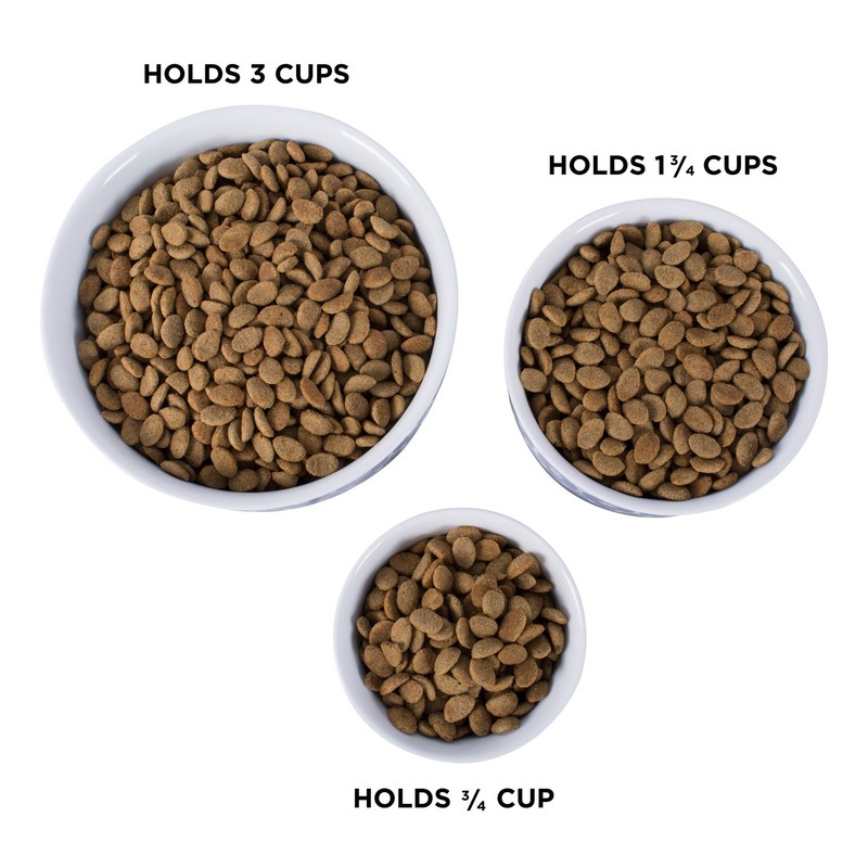 Bone Dry Stars & Stripes Patriotic Flag Ceramic Pet Bowl