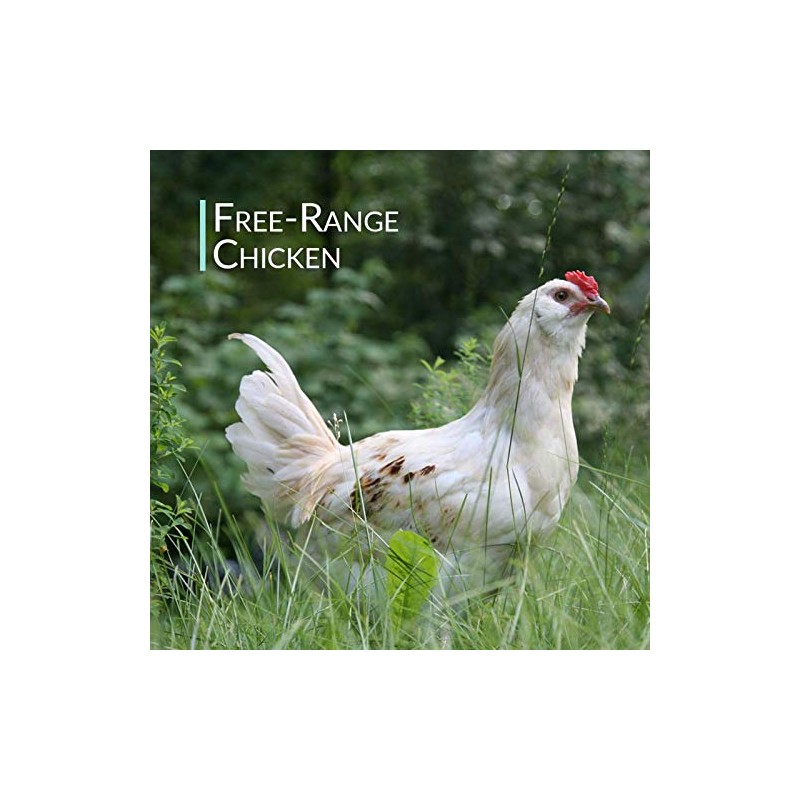 Chicken Bone Broth Powder Organic Free Range 300g Pure Protein