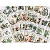 Christmas Card Lot Of 50+ Shabby Chic Santa Cards Christmas