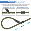 Slip Lead Dog Leash 6ft [360° Swivel Anti-Tangle] Strong Dog