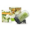 FLORTUS Sprout Jar Set with Strainer Lid & Integrated Stand