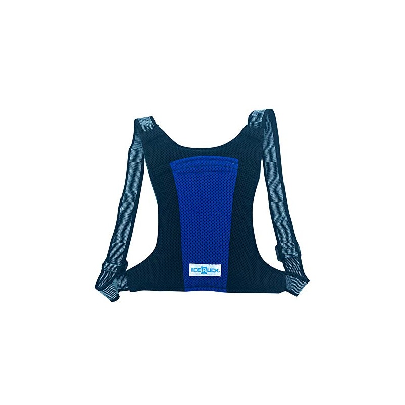 Denko Home Ice Ruck, Vertical Type, Includes 2 Ice Packs,